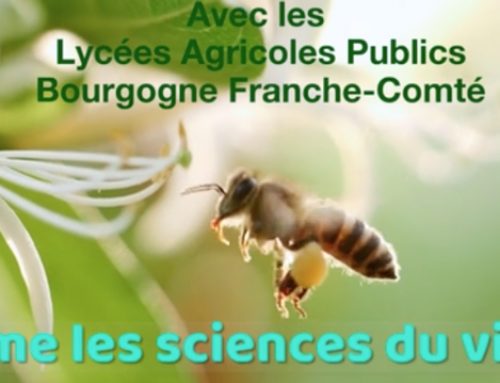 BACT STAV, ON AIME LES SCIENCES DU VIVANT ! Lycées Agricoles Publics Bourgogne Franche-Comté