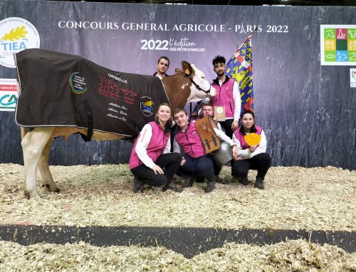Retour victorieux du Salon de l’agriculture : le lycée Granvelle remporte le 1er prix de la section 1 du groupe Races laitières